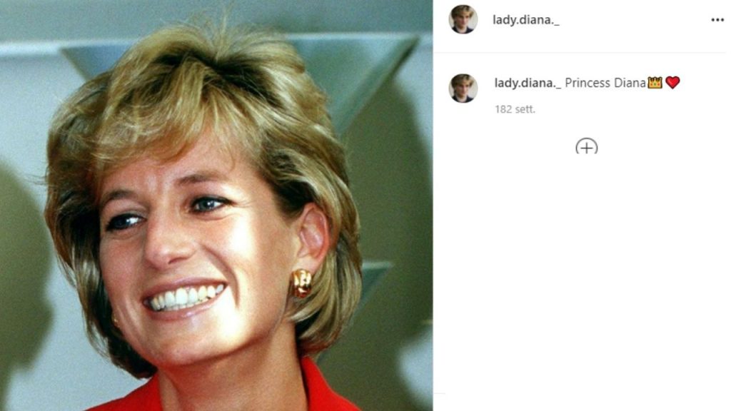 lady diana battuta all'asta la felpa