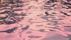Sapete che esistono laghi rosa? Ecco perché hanno questo colore e dove si trovano