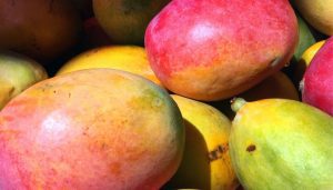 Mango, il frutto “supereroe” dalle mille proprietà benefiche: cosa dicono gli studi scientifici