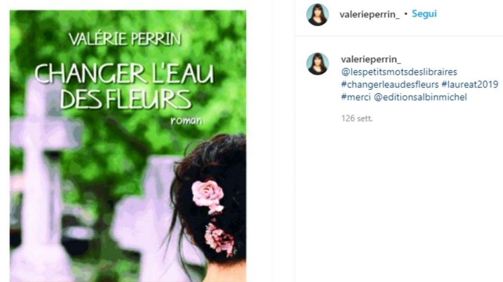 Cambiare l'acqua ai fiori libro di Valerie Perrin