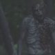 TWD trailer