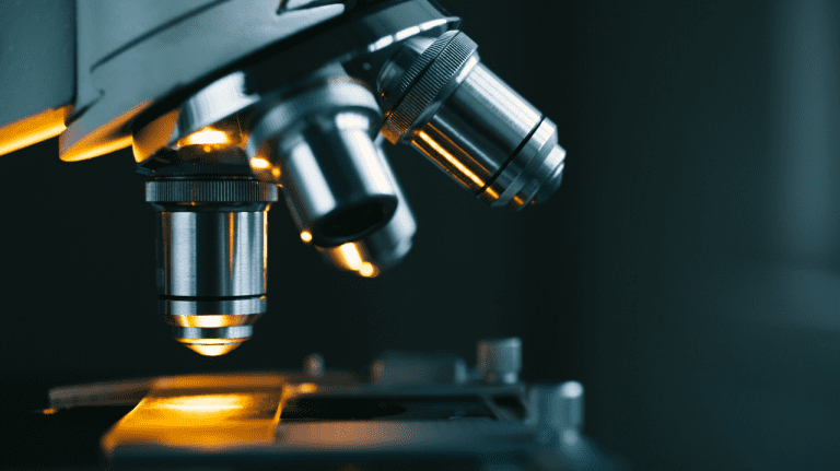 microscopio