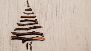 Natale 2021 all’insegna del green: i regali che fanno bene all’ambiente