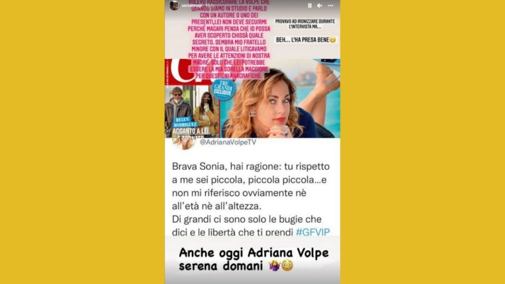Sonia Bruganelli, botta e risposta con Adriana Volpe: "Serena domani", nuova replica su Instagram 42 Sonia Bruganelli su Instagram