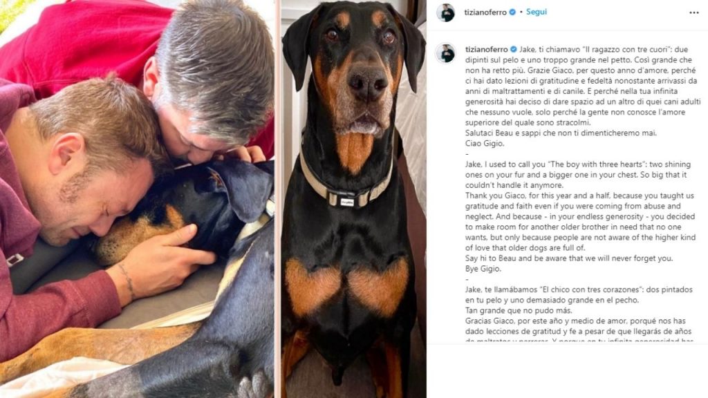 Tiziano Ferro piange la morte di Jake su Instagram: "Ti chiamavo 'Il ragazzo con tre cuori'" 42 tiziano ferro jake