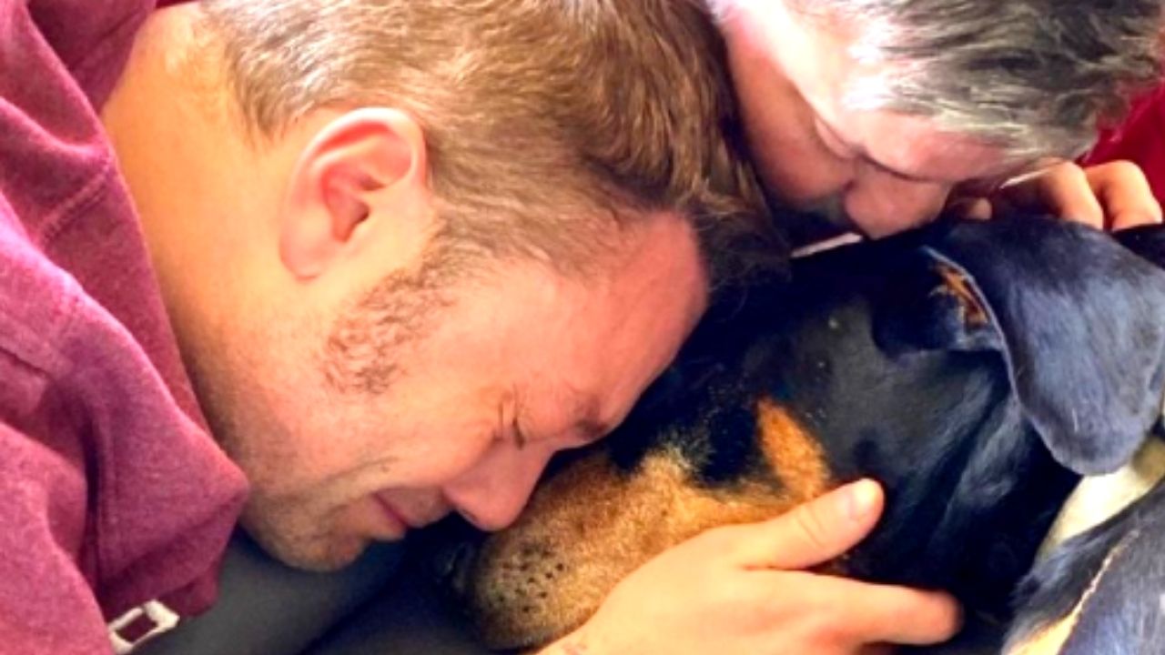 Tiziano Ferro piange la morte di Jake su Instagram: "Ti chiamavo 'Il ragazzo con tre cuori'" 41 Tiziano Ferro morte cane Jake