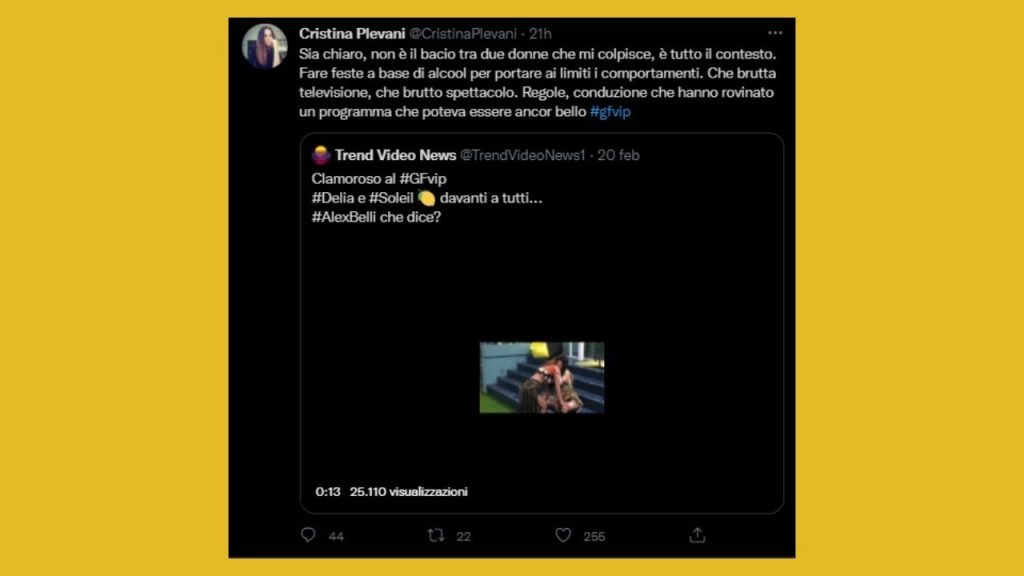Ex del Grande Fratello demoliscono il reality e Signorini: "Che brutta televisione" 42 Cristina Plevani Twitter GF VIp