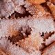 dolci tradizioni