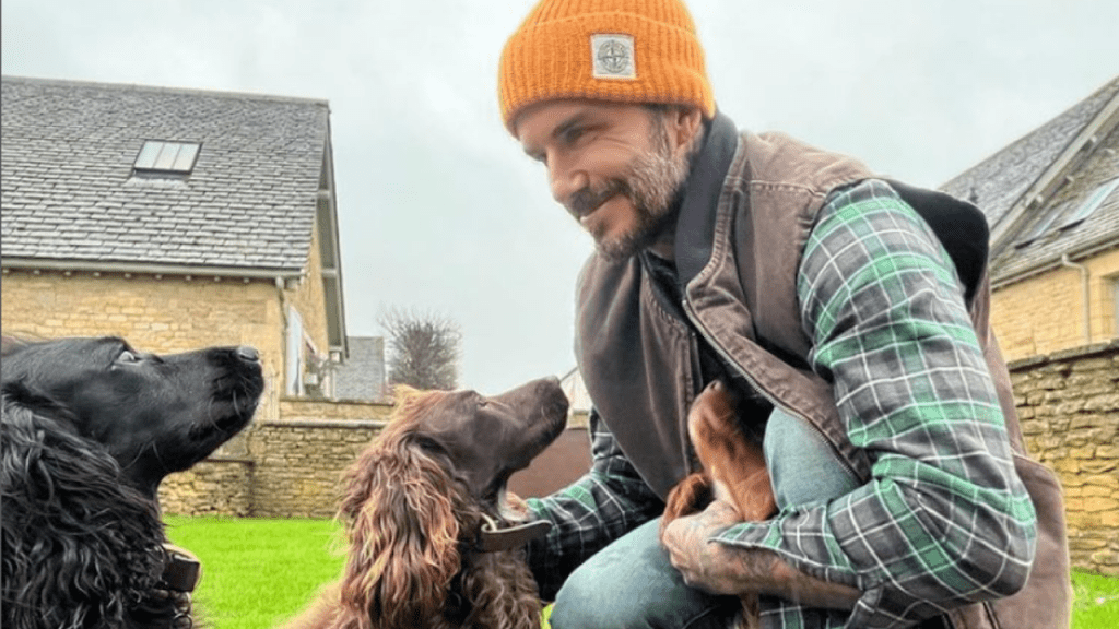 david beckham