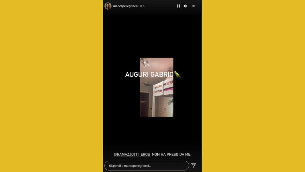Eros Ramazzotti e il compleanno del figlio Gabrio: "Ti amo e ti auguro il meglio" 42 Marica Pellegrinelli Instagram
