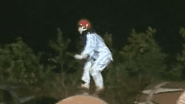 Rulli di Takeshi