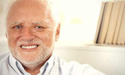 Hide The Pain Harold