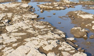 2022 anno più caldo di sempre