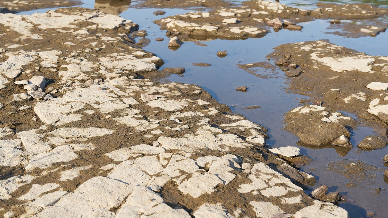 2022 anno più caldo di sempre