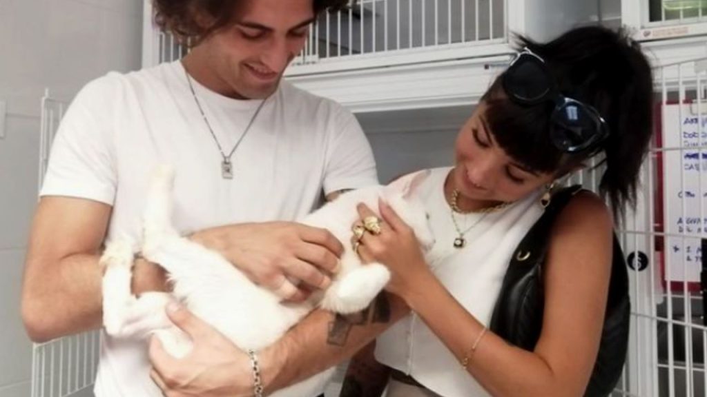 Damiano David Giorgia Soleri gatto Ziggy