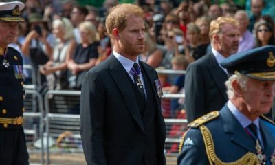 harry regina