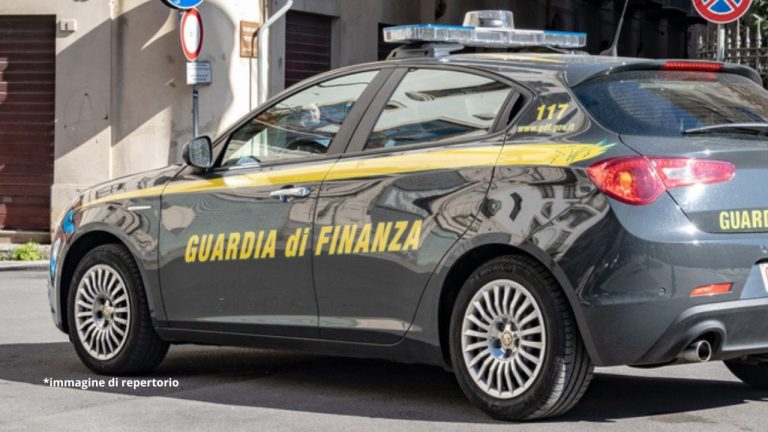reddito di cittadinanza
