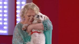 Signorini insiste: vuole anche gli animali domestici al GF Vip 7