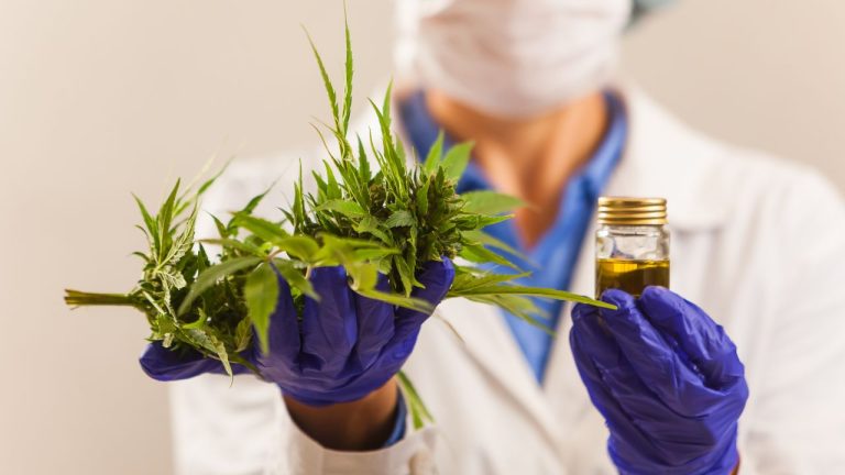 Cannabis Germania