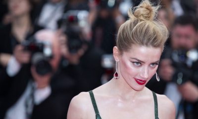 amber heard causa