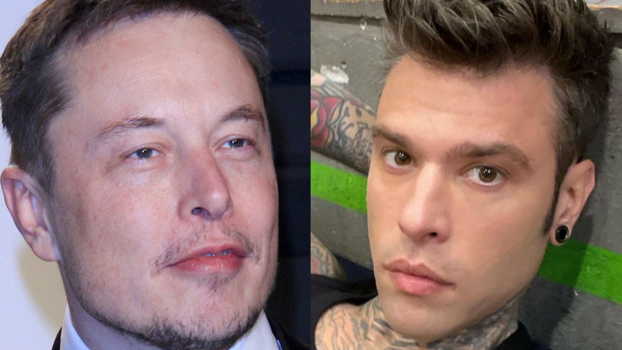 elon musk fedez