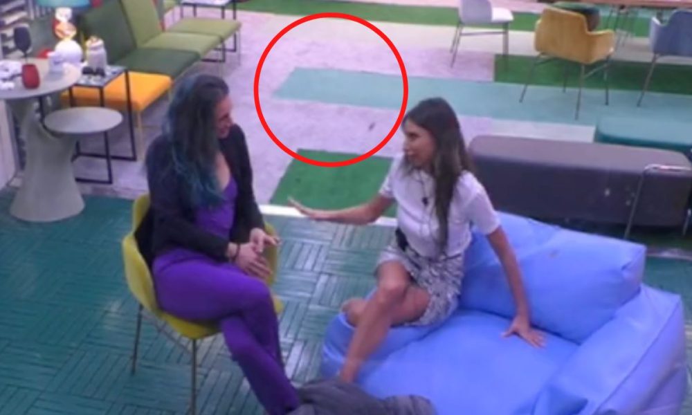 Topi nella Casa del GF Vip? La verità in un video