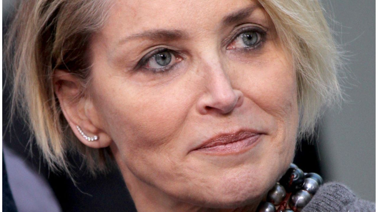 Sharon Stone rivela: "Diagnosi errata, ho un grosso fibroma" 41 sharon stone