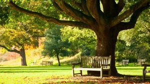 Quell’amore di panchina: l’appuntamento con l’infinito