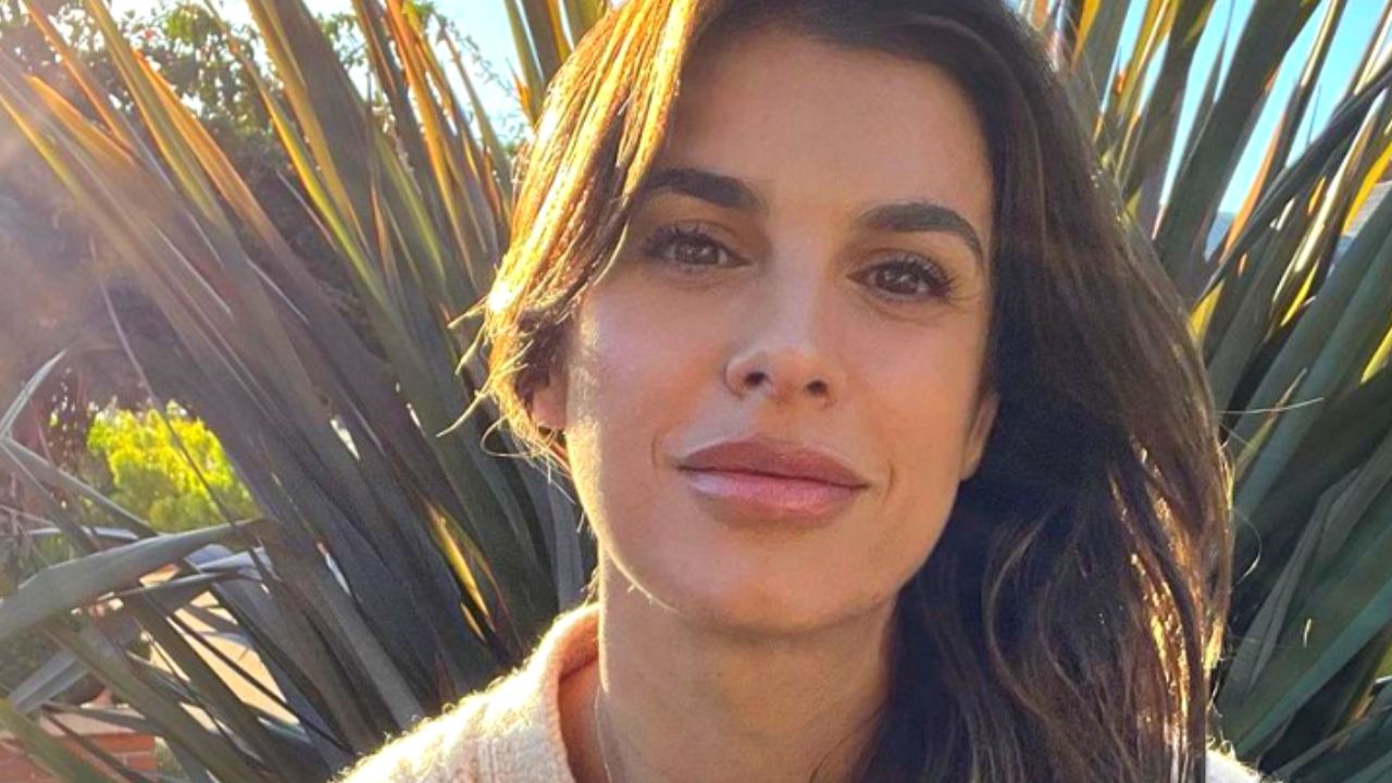 Elisabetta Canalis e Brian Perri, matrimonio finito? 41 elisabetta canalis brian perri