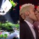rai festival sanremo multa rosa chemical fedez blanco
