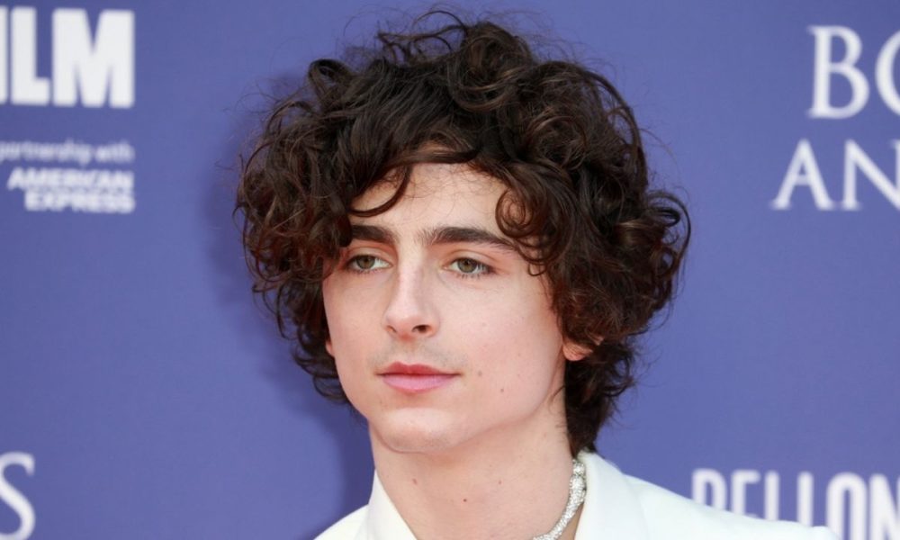 Sarà Timothée Chalamet a cantare nel biopic su Bob Dylan