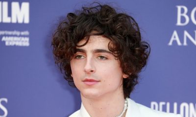 Timothée Chalamet bob dylan