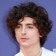 Timothée Chalamet bob dylan