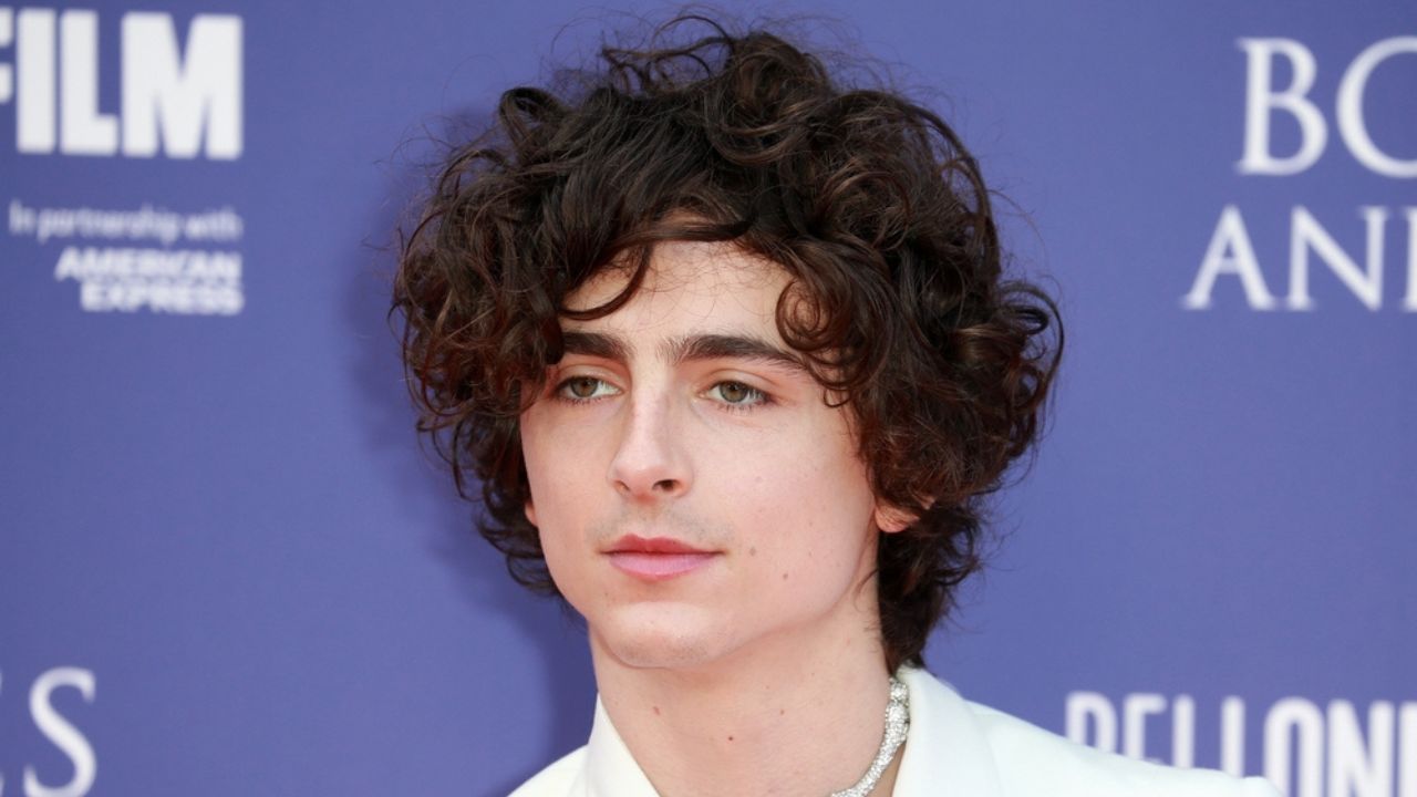 Timothée Chalamet bob dylan