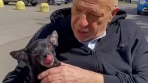 Mauro Coruzzi rivede la sua cagnolina fuori dall’ospedale – IL VIDEO