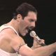 freddie mercury