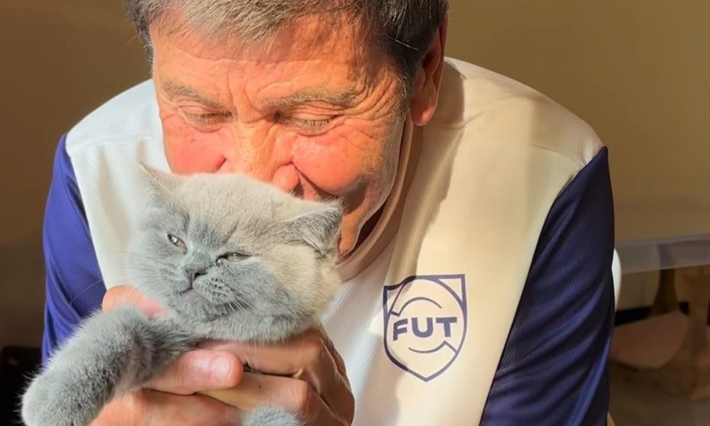 Gianni Morandi, il nuovo gatto del cantante diventa virale sui social: “Forse ti chiameremo Lucio”