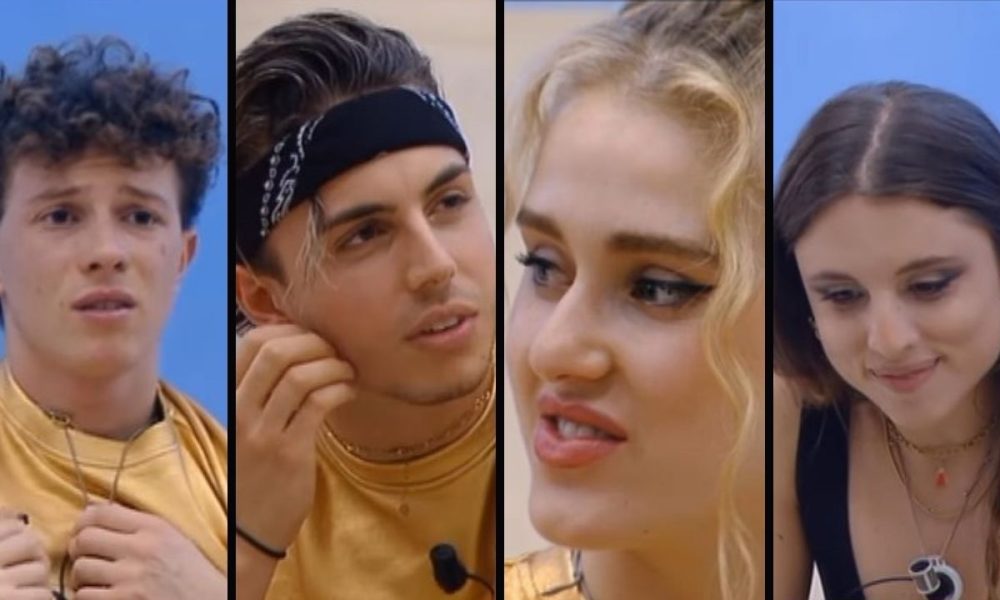 Chi vince Amici 2023: pronostici e sondaggi