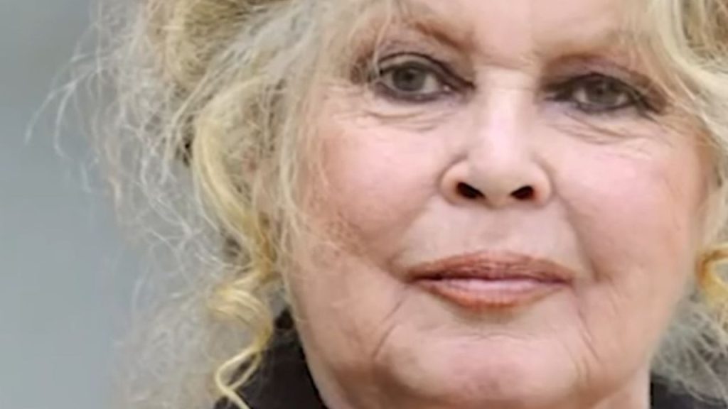 brigitte bardot