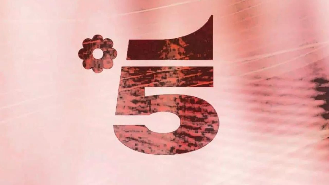 Canale5: la guida tv di venerdì 19 maggio 41 Canale5