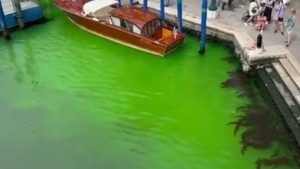 Venezia: l’acqua del Canal Grande diventa verde fosforescente
