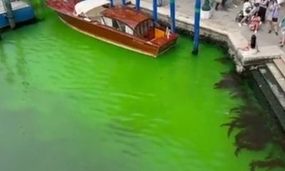 venezia acqua verde