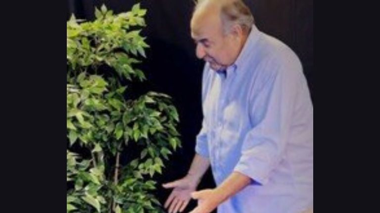 Gerry Scotti Muschio Selvaggio
