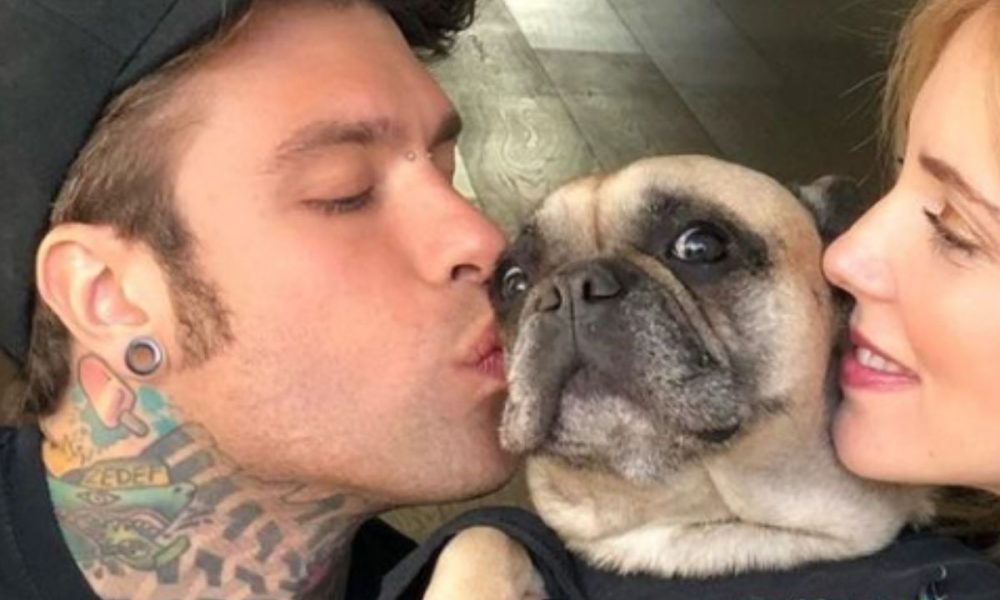 Fedez replica all’hater felice della morte del cane di Chiara Ferragni