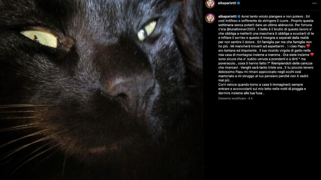 Alba Parietti piange la morte del suo gatto Papu: "Eri famiglia" 42 alba parietti gatto
