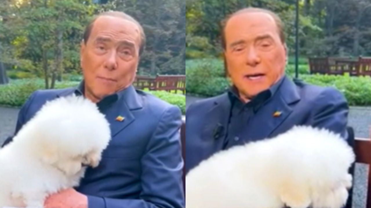 dudù berlusconi