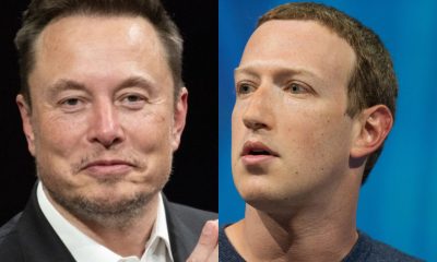 elon musk zuckerberg colosseo