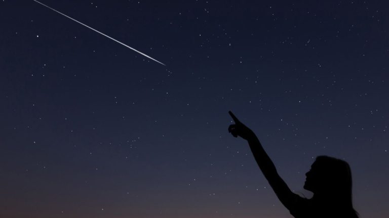notte san lorenzo 2023 stelle