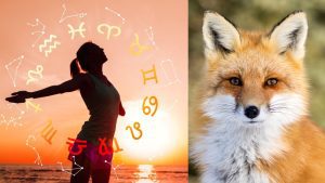 Ad ogni segno zodiacale, un animale guida: scopri il tuo