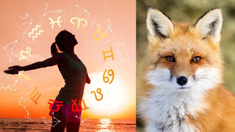 segno zodiacale animale